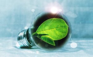 lightbulb-PIRO4D-pixabay-2632075 Web
