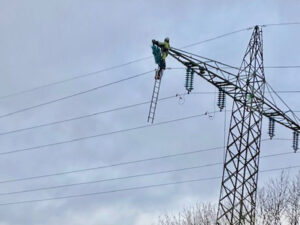 stoerungsbeseitigung strommast sturm sh netz