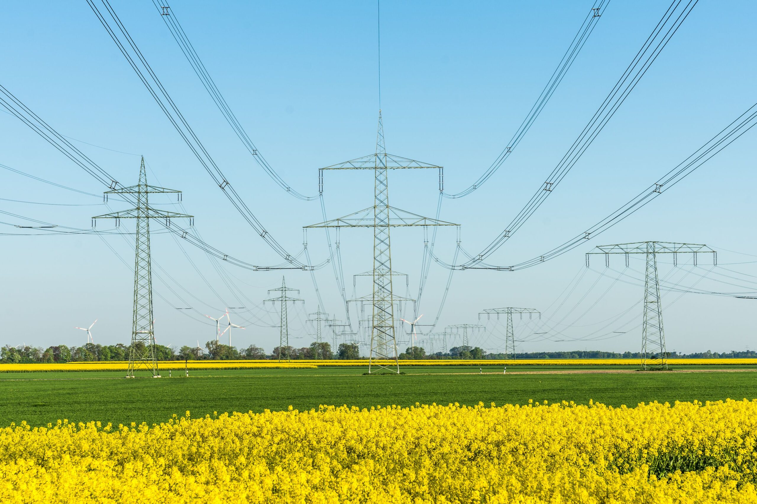 (Bild: Andreas Gruhl / stock.adobe.com)