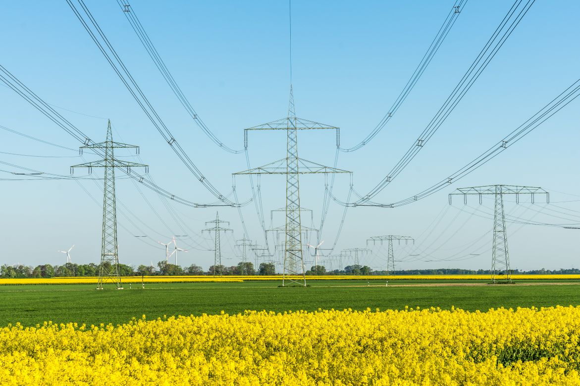 (Bild: Andreas Gruhl / stock.adobe.com)
