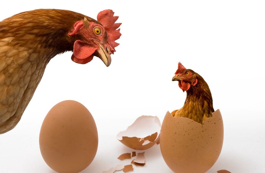 Bild: Vladimir Prusakov / stock.adobe.com