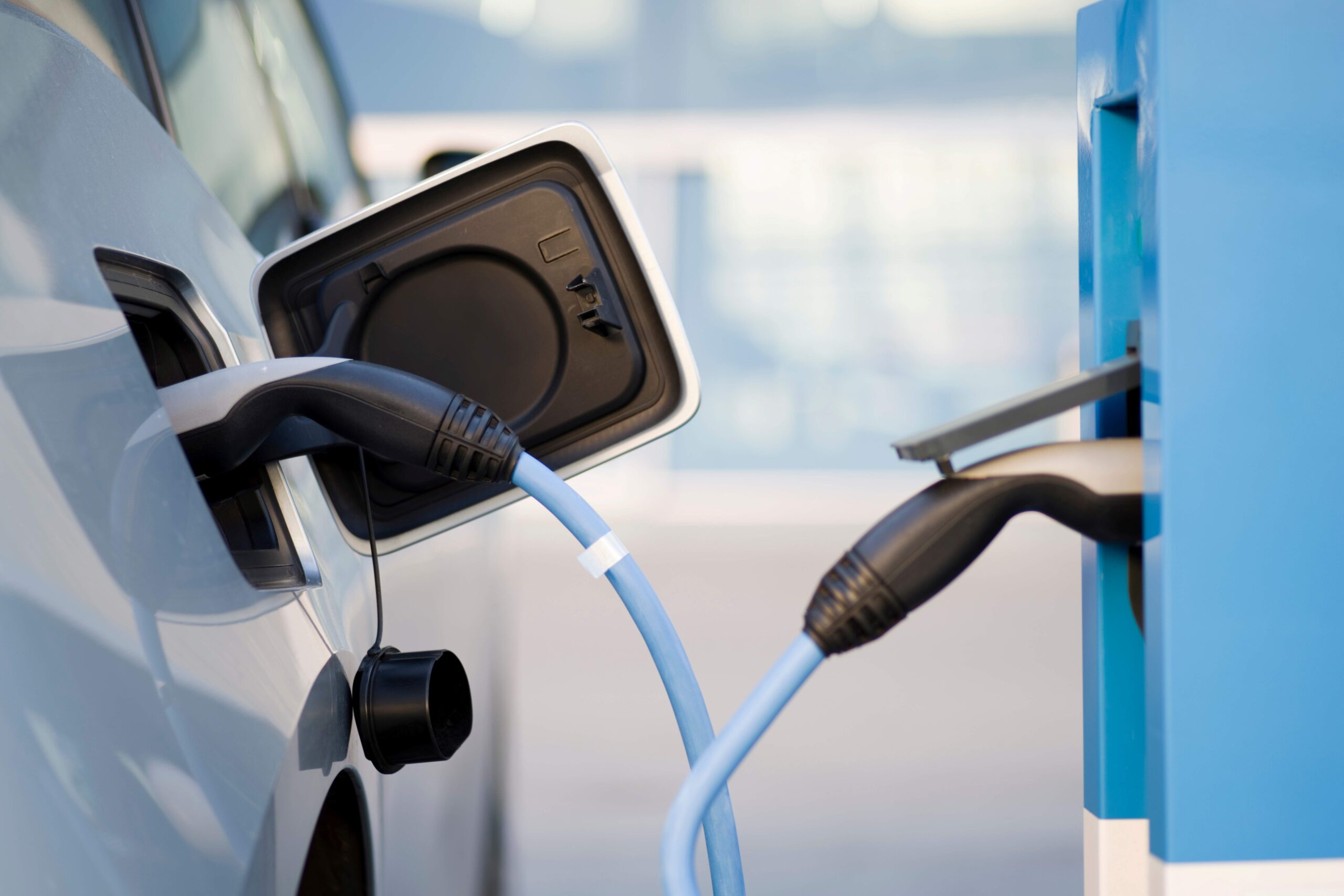 (Bild: Wellnhofer Designs / stock.adobe.com)